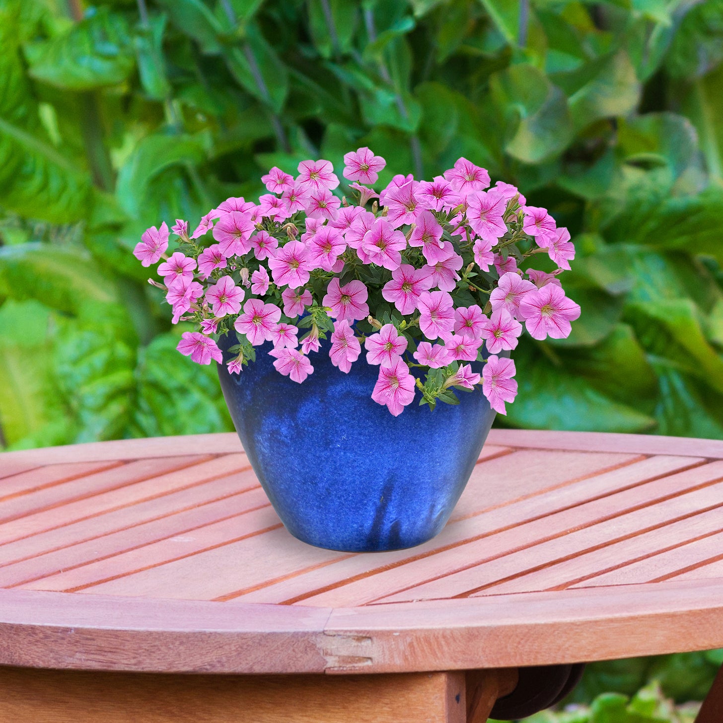Sunnydaze Resort Round Glazed Ceramic Planter with Drainage Hole - Outdoor Garden Flower Pot for Patio, Deck & Balcony Decor