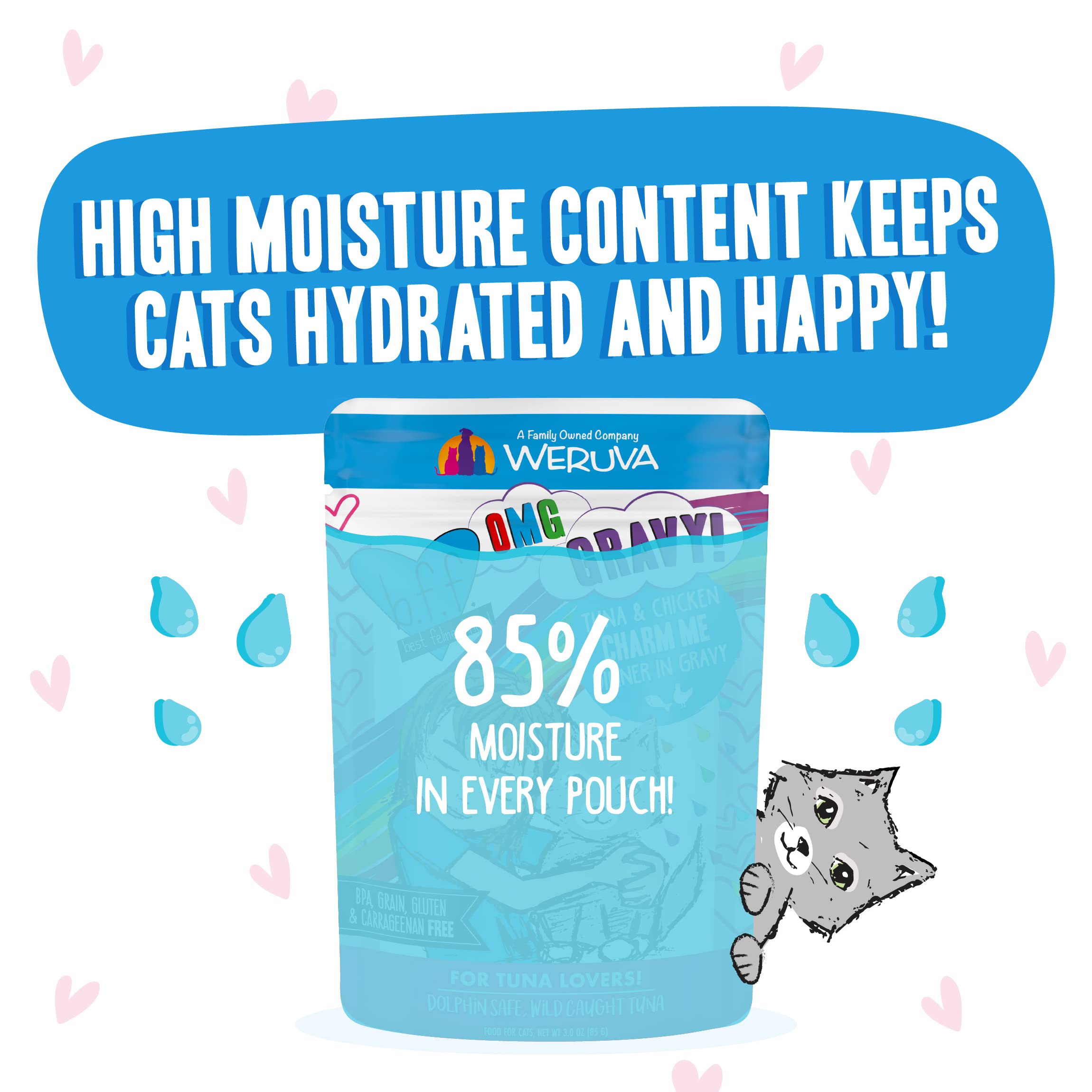 Weruva B.F.F. OMG Tuna & Chicken in Gravy Cat Food - Grain-Free Wet Cat Food Pouches, 3oz (Pack of 12) - High Protein Meal for Adult & Senior Cats - Perfect for Picky Eaters & Hydration Boost