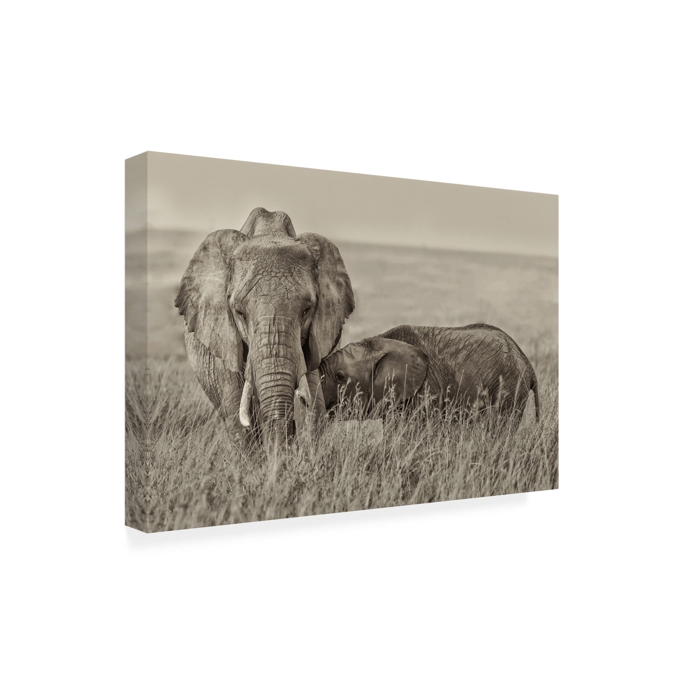 Trademark Fine Art 'Snuggling' Canvas Wall Art by Henry Zhao - Romantic Couple Painting for Bedroom, Living Room & Home Decor