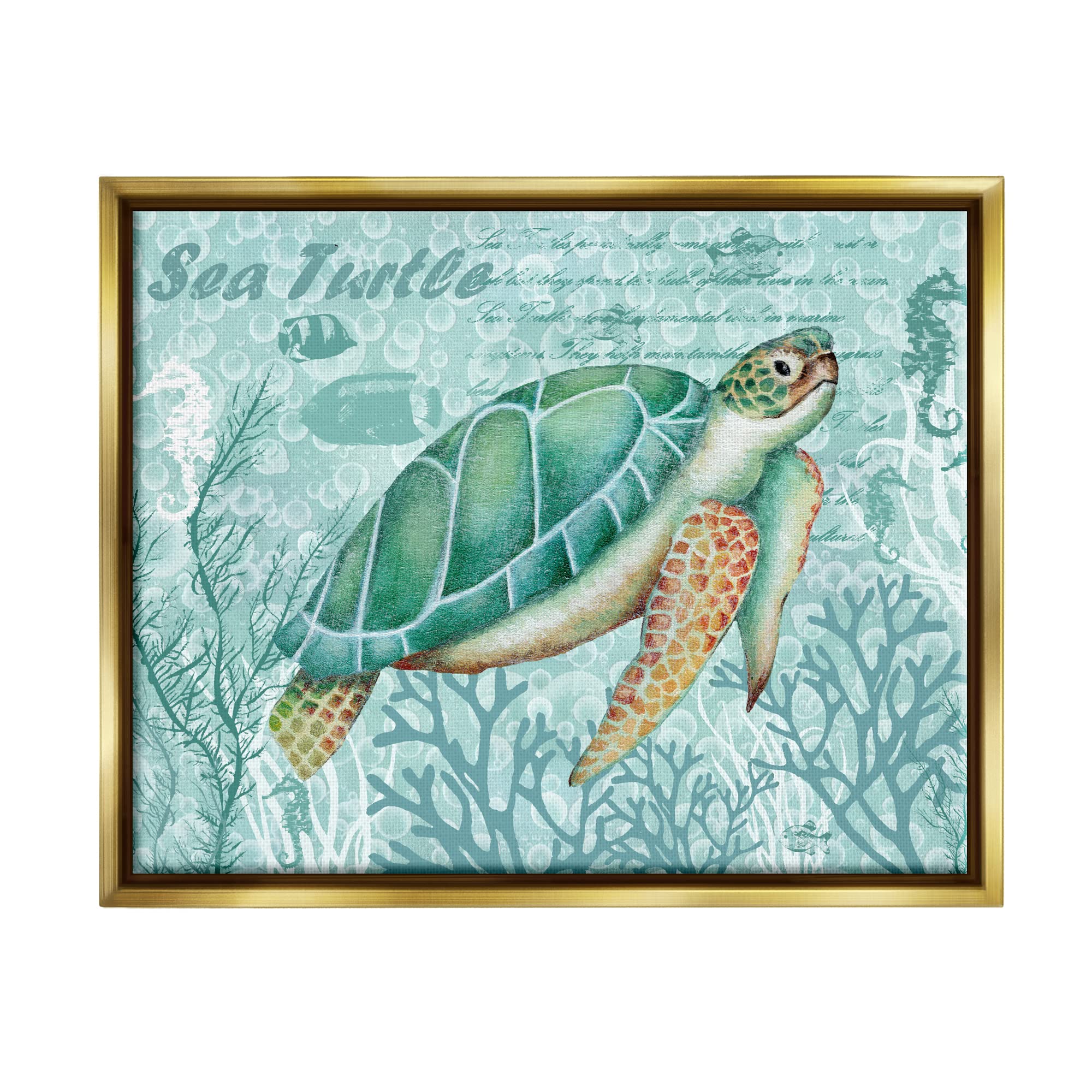Stupell Industries Coral Bordered Sea Turtle & Seahorse Wall Art - Emma Leach Calligraphy Design | Coastal Beach Decor for Bathroom, Nursery & Living Room