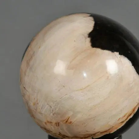 Natural Petrified Wood Spheres - Unique Home Decor & Healing Crystals for Meditation, Feng Shui, and Office Desk Display