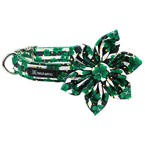 F-stripe clover