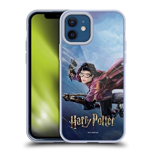 Quidditch 1