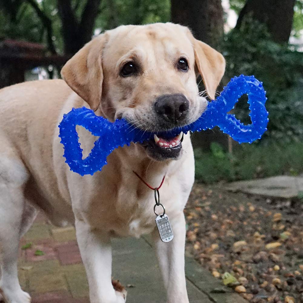 Durable 13-Inch Extra Large Dog Chew Toy - Bone-Shaped Aggressive Chewer Tug Toy with Convex Design for Medium & Large Dogs | Teeth Cleaning & Dental Health | Perfect for Playtime, Training & Stress Relief