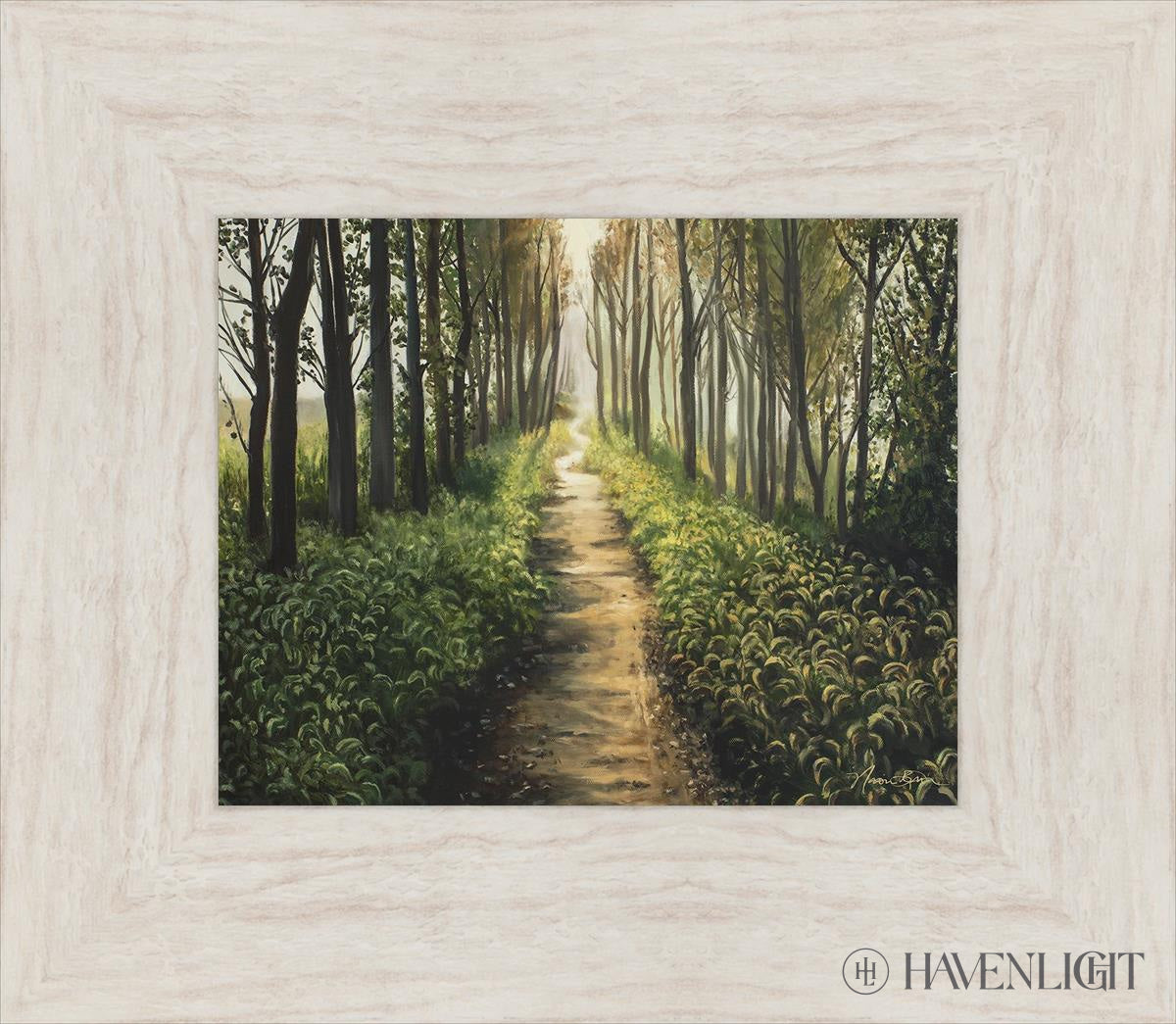 Forest Walkway - Beautiful Wooden Pathway for Gardens, Parks & Trails | Perfect for Outdoor Decor & Nature Walks