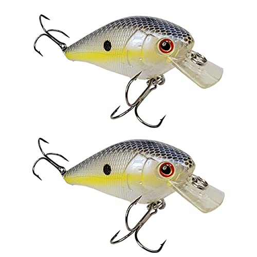 Chartreuse Shad