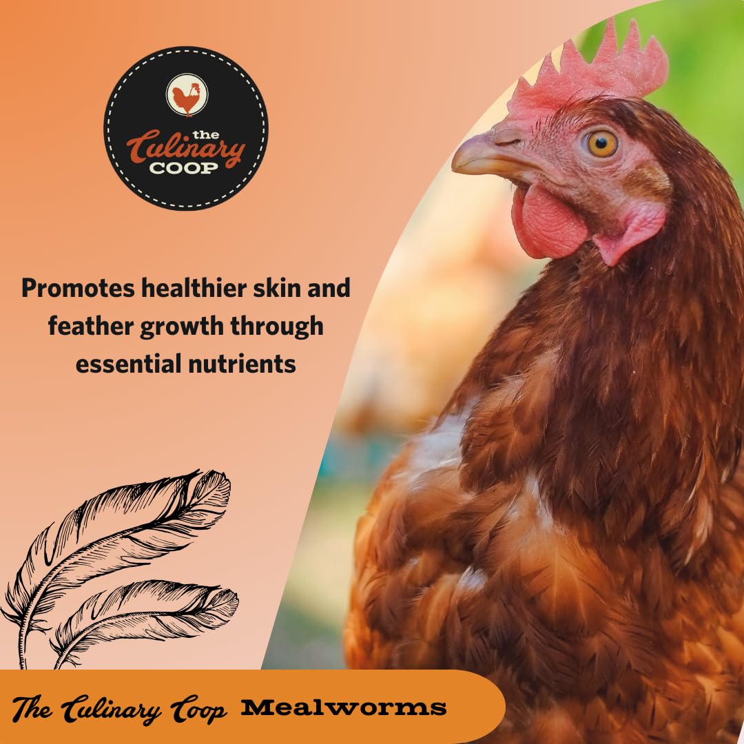 Fluker's Culinary Coop Premium High-Protein Dried Mealworms - 10lb Bulk Chicken Treats for Birds & Reptiles | Nutritious Pet Food Supplement for Backyard Chickens, Wild Birds & Exotic Pets