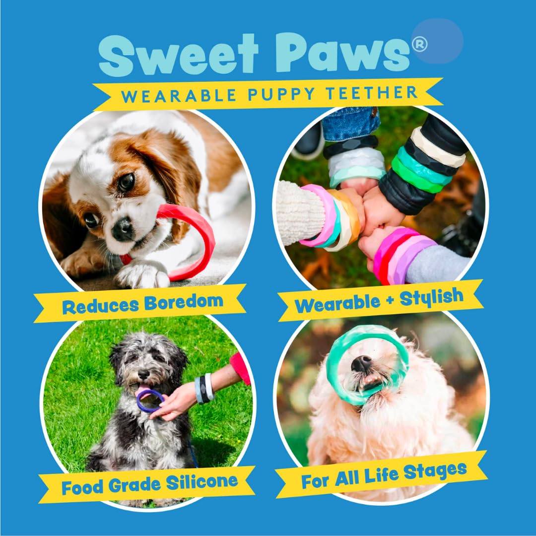 Sweet Paws Puppy Teething Rings - Food Grade Silicone Chew Toys for Small & Medium Dogs (0-6 Months) - Gold Rush - Perfect for Teething Relief & Puppy Training at Home or Outdoors
