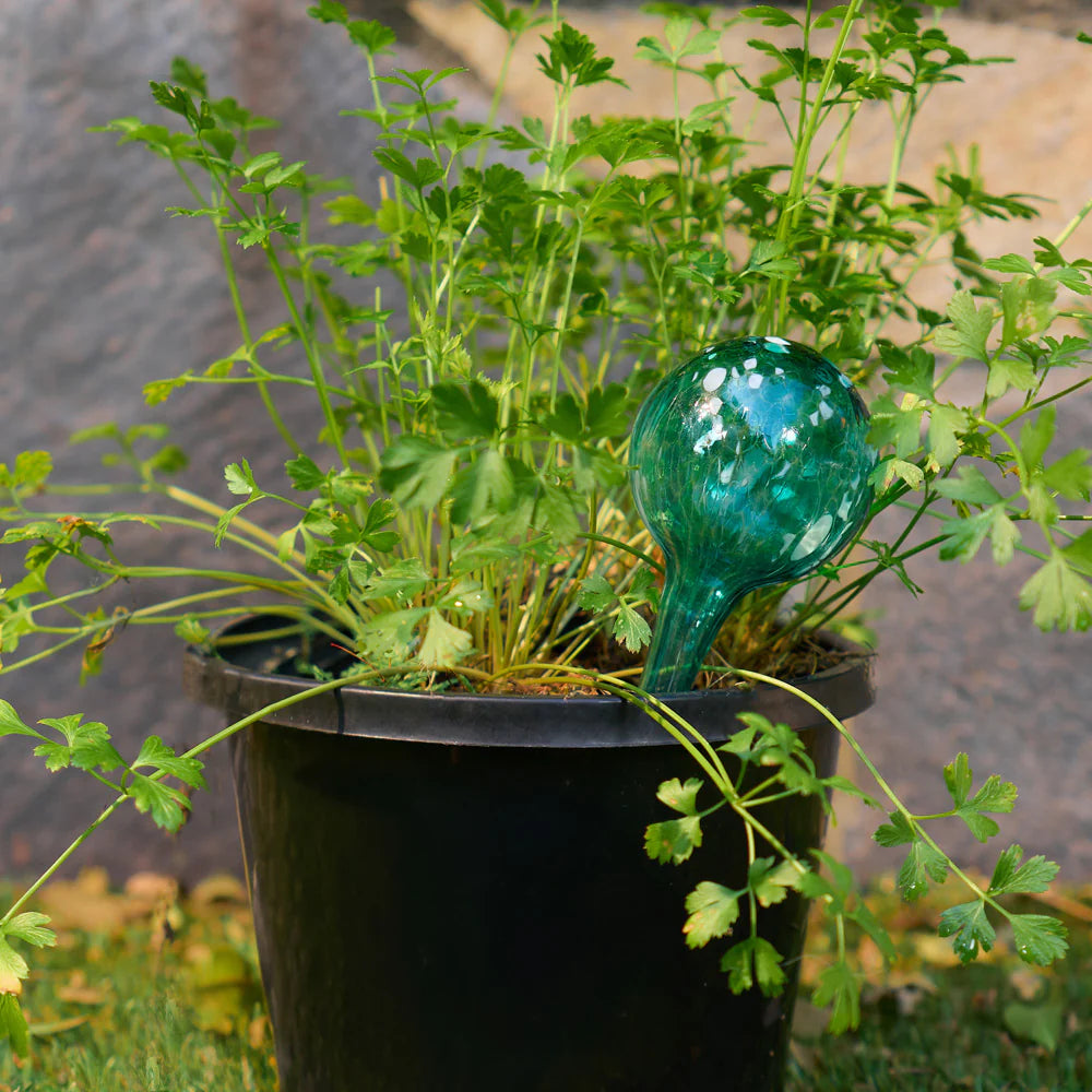 Annabel Trends Set of 3 Self-Watering Plant Globes - Green Glass Bulbs for Indoor Plants, Succulents & Herbs | Perfect for Vacation Care & Home Decor