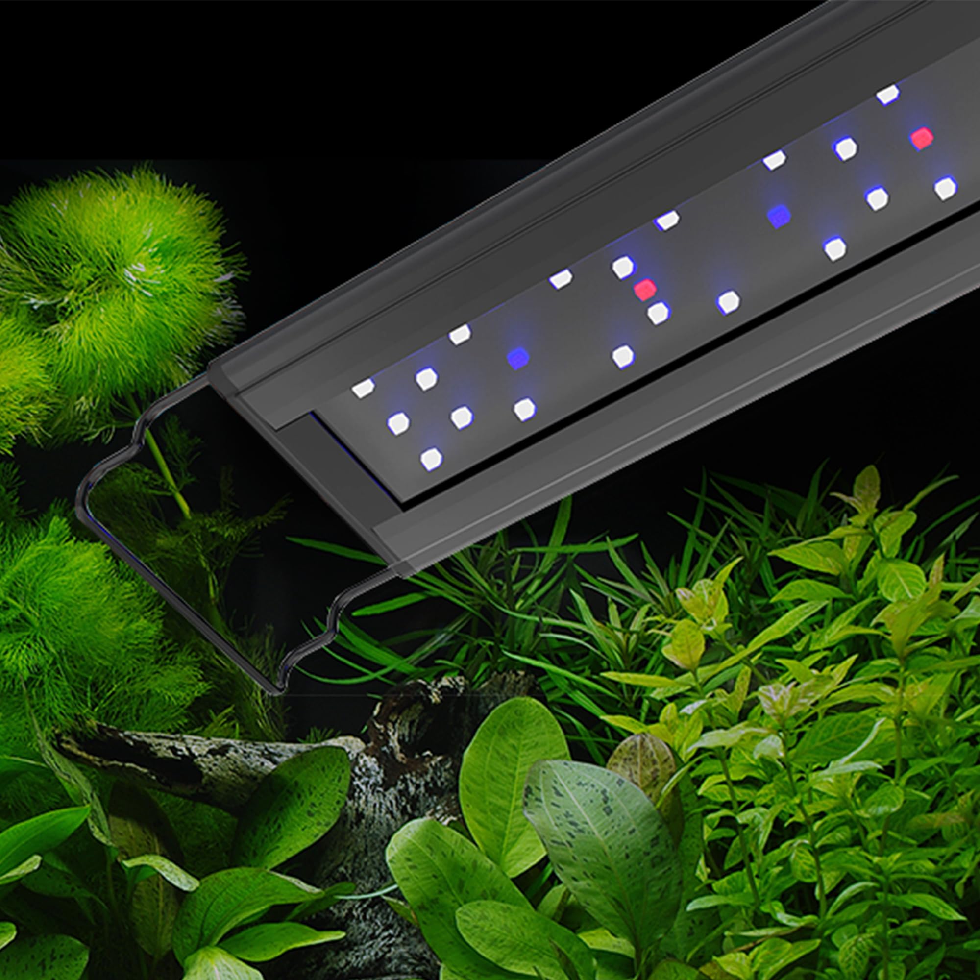 Aquatop SkyAqua LED Aquarium Light 6500K Full Spectrum – 30-36 Inch Fish Tank Light with 3-Position Switch, UL & CSA Certified, Natural Sunlight Simulation for Freshwater & Planted Aquariums – Perfect for Home, Office & Aquatic Stores