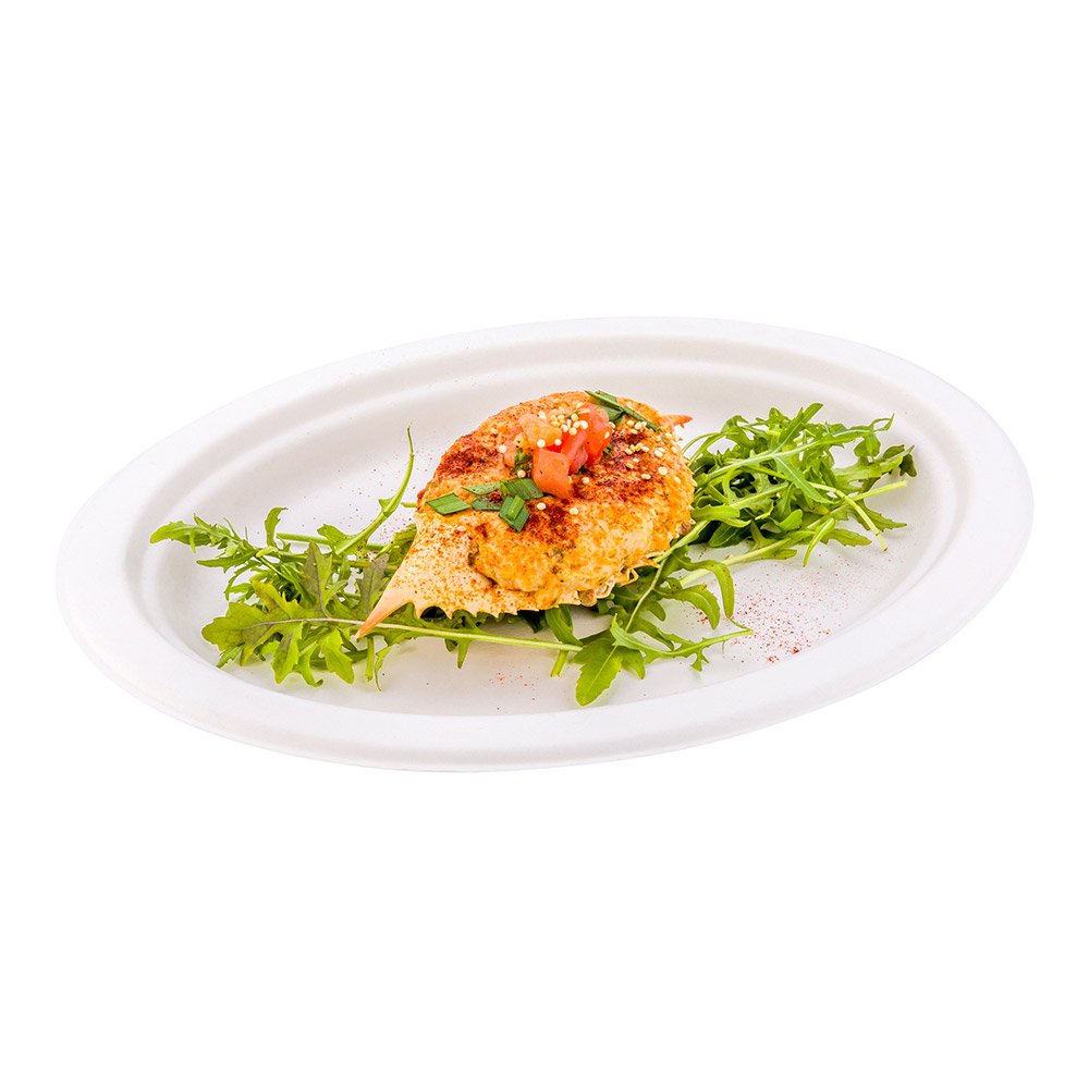 Eco-Friendly 10.4 x 7.8 Inch Oval Disposable Dinner Plates - 100 Heavy-Duty Bagasse Plates Made from Sugarcane Fibers | Perfect for Restaurants, Catering, Parties & Outdoor Events