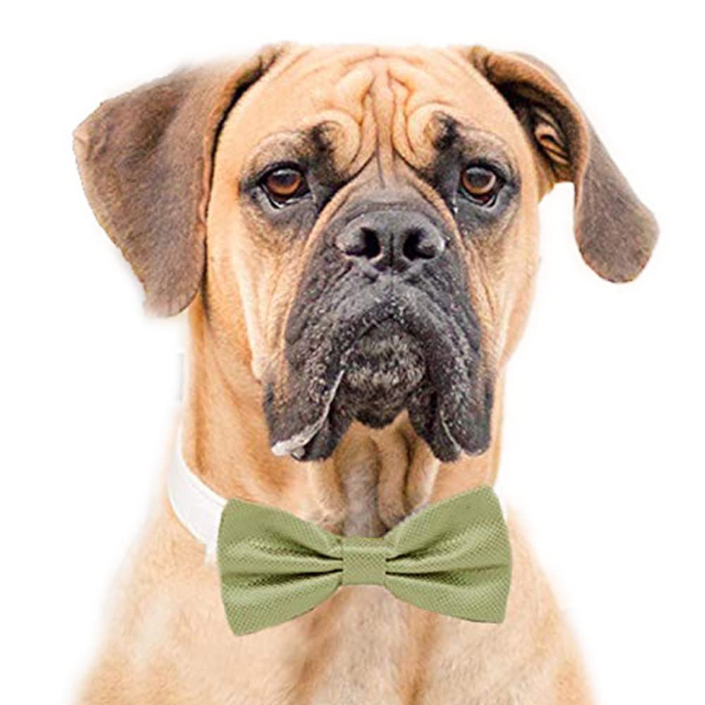 Premium Sage Green Bow Tie Dog Collar - Black, Gray, Brown, Ivory, Champagne, Copper, Gold & Green Leather Puppy Collar with Adjustable Bow Tie - Perfect for Weddings, Parties & Special Occasions
