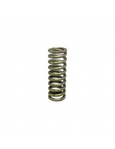 IZ 07133 IZZO GROUP Piston Internal Spring - High Performance Replacement Part for Automotive Engines | Perfect for Engine Repair & Maintenance