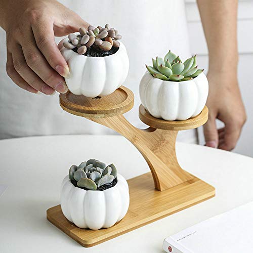 Pumpkin-Shaped Ceramic Succulent Planter with Bamboo Tray - Cute Home Decor for Fall & Halloween - Perfect for Tabletop, Windowsill, and Office Desk Decorations