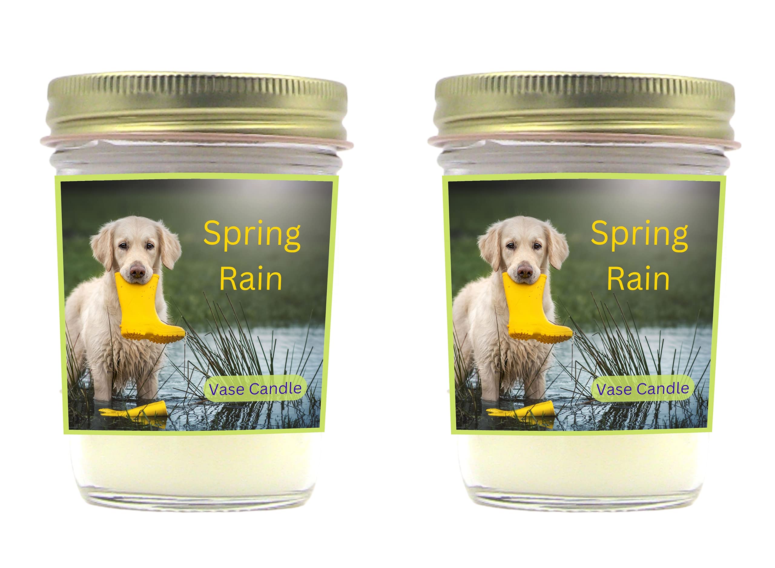 Spring Rain Scented Candle - Lemon, Lily & Jasmine Aroma with Ozone Notes | Double Glass Jar Home Decor | Perfect for Living Room, Bedroom & Relaxation Spaces