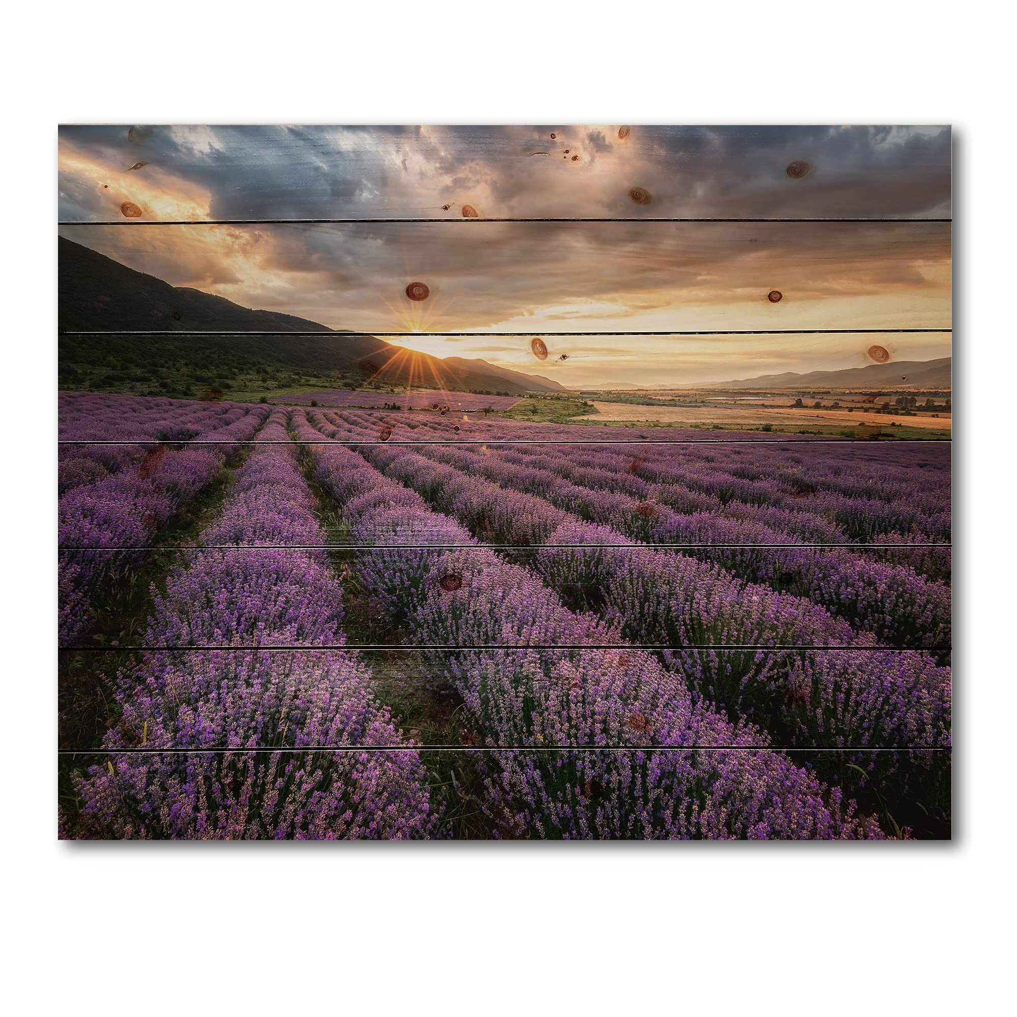 Lavender Field Wood Wall Art - Farmhouse Decor for Living Room & Bedroom