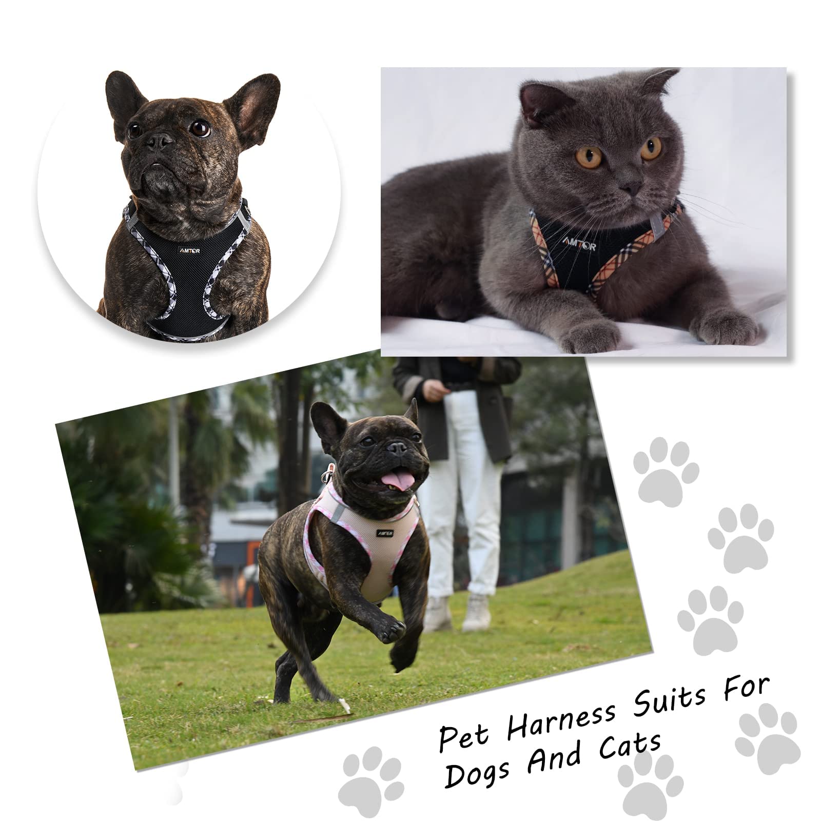 AMTOR No Escape Small Dog Harness with Leash Set - Easy Walk Puppy Training Vest for XS/S/M/L Dogs - Reflective Step-in Soft Harness (Pink, S) - Perfect for Walking, Jogging & Outdoor Adventures