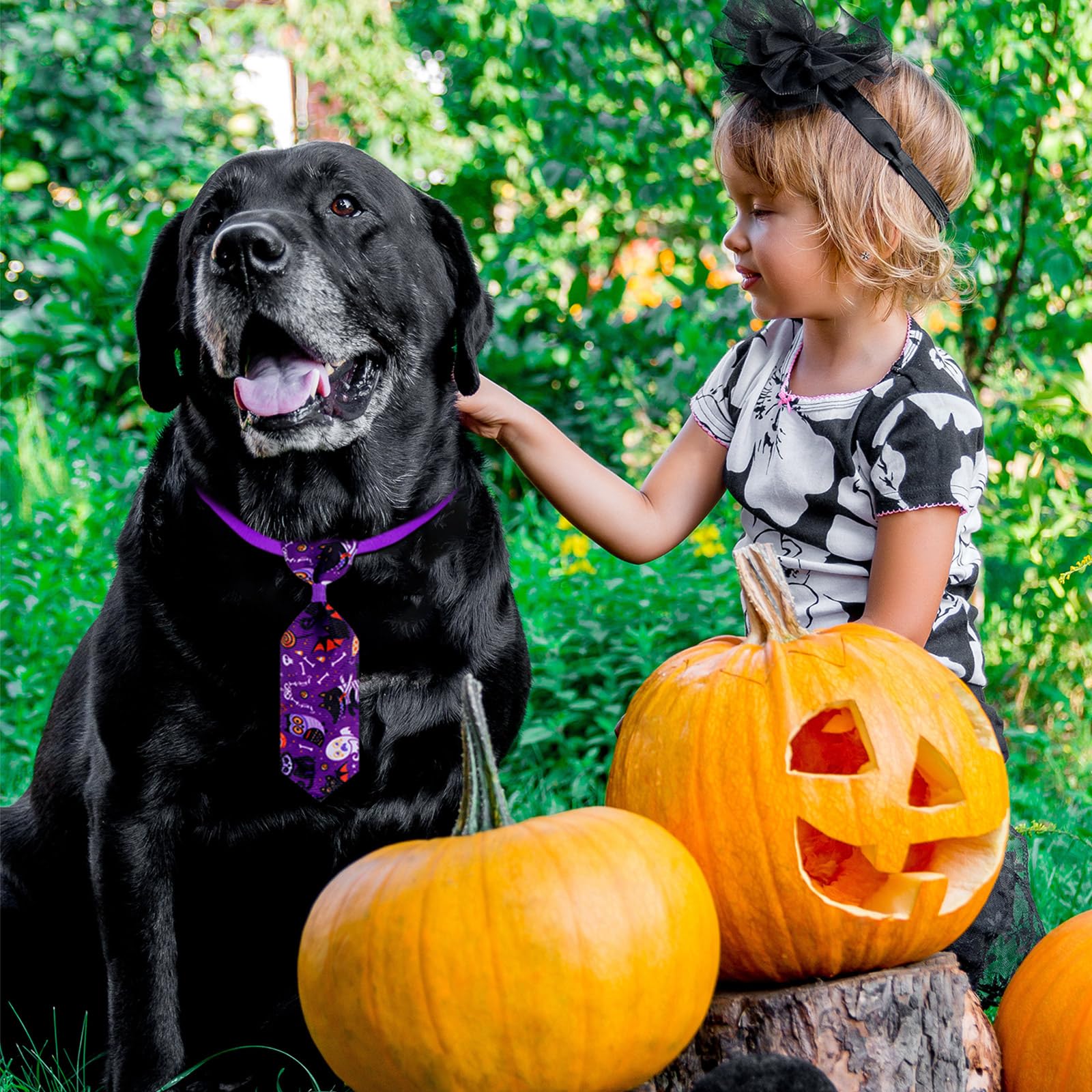 60 Pcs Halloween Dog Bows & Collars - Adjustable Pumpkin Ghost Bow Ties for Small Medium Dogs - 24 Neckties & 24 Bowties with 12 Bowknots - Perfect for Halloween Pet Costumes, Parties & Photo Shoots