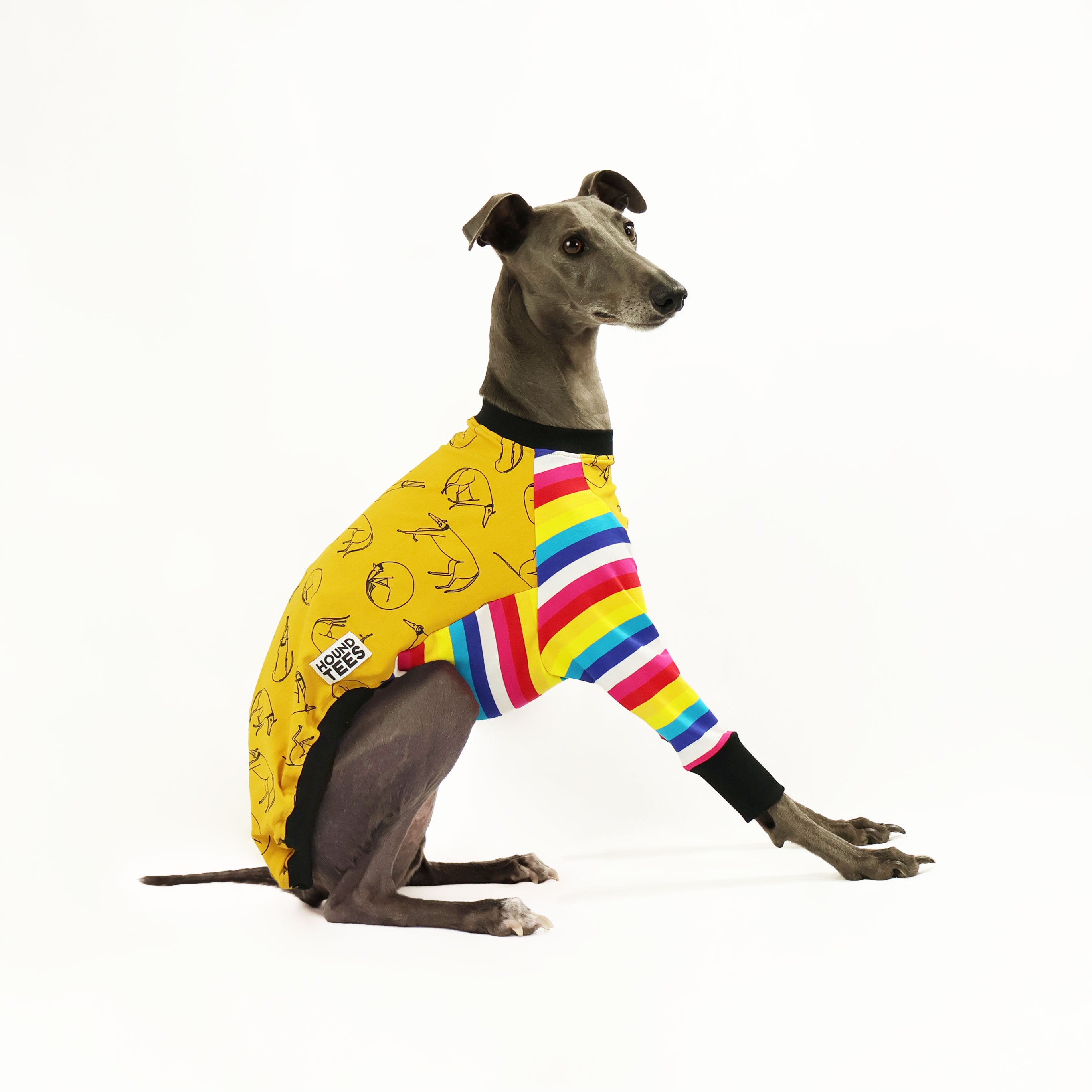 Harriet's Hounds Whippet Long Sleeve Hound T-Shirt - Comfortable Dog Lover Apparel for Casual Wear & Outdoor Activities