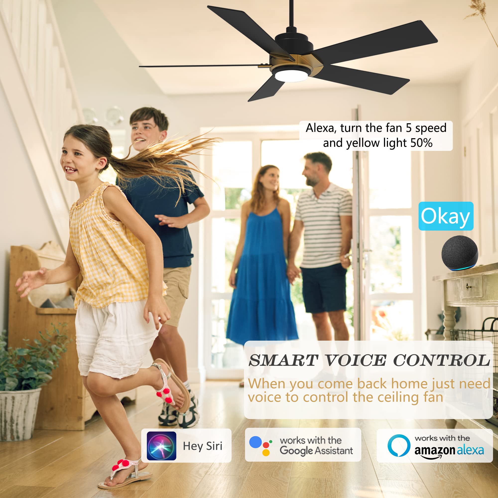 SMAAIR 52 Inch Smart Ceiling Fan with Lights - Low Profile, Dimmable LED Light, 10-Speed Reversible DC Motor, APP/Alexa/Google Assistant/Siri Voice Control (Black/Gold) - Perfect for Bedroom, Living Room and Office Spaces