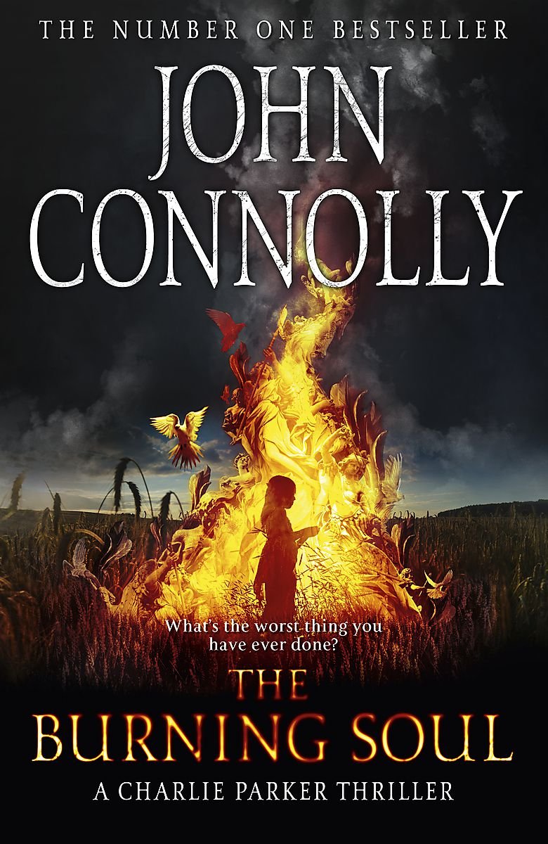 The Burning Soul: A Gripping Psychological Thriller Novel - Perfect for Late-Night Reading & Book Club Discussions