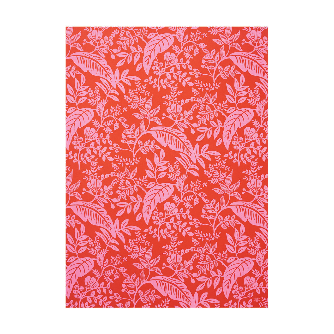 Canopy Neon Wrapping Sheet - Vibrant Gift Wrap for Birthdays, Parties & Special Occasions | Waterproof & Durable Packaging Paper