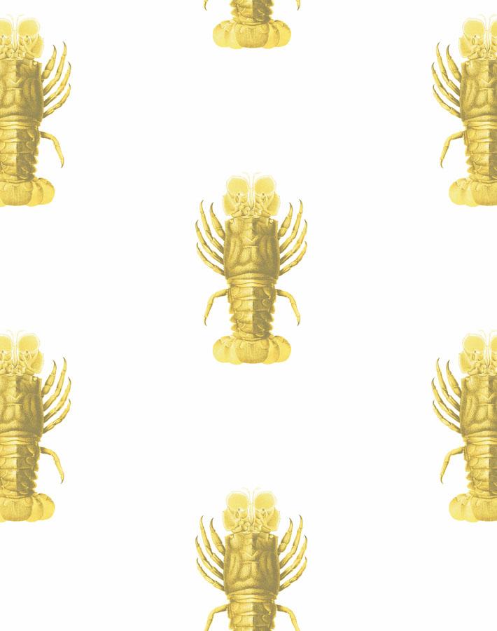 Jack The Crustacean
