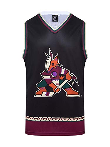 Arizona Coyotes-alternate