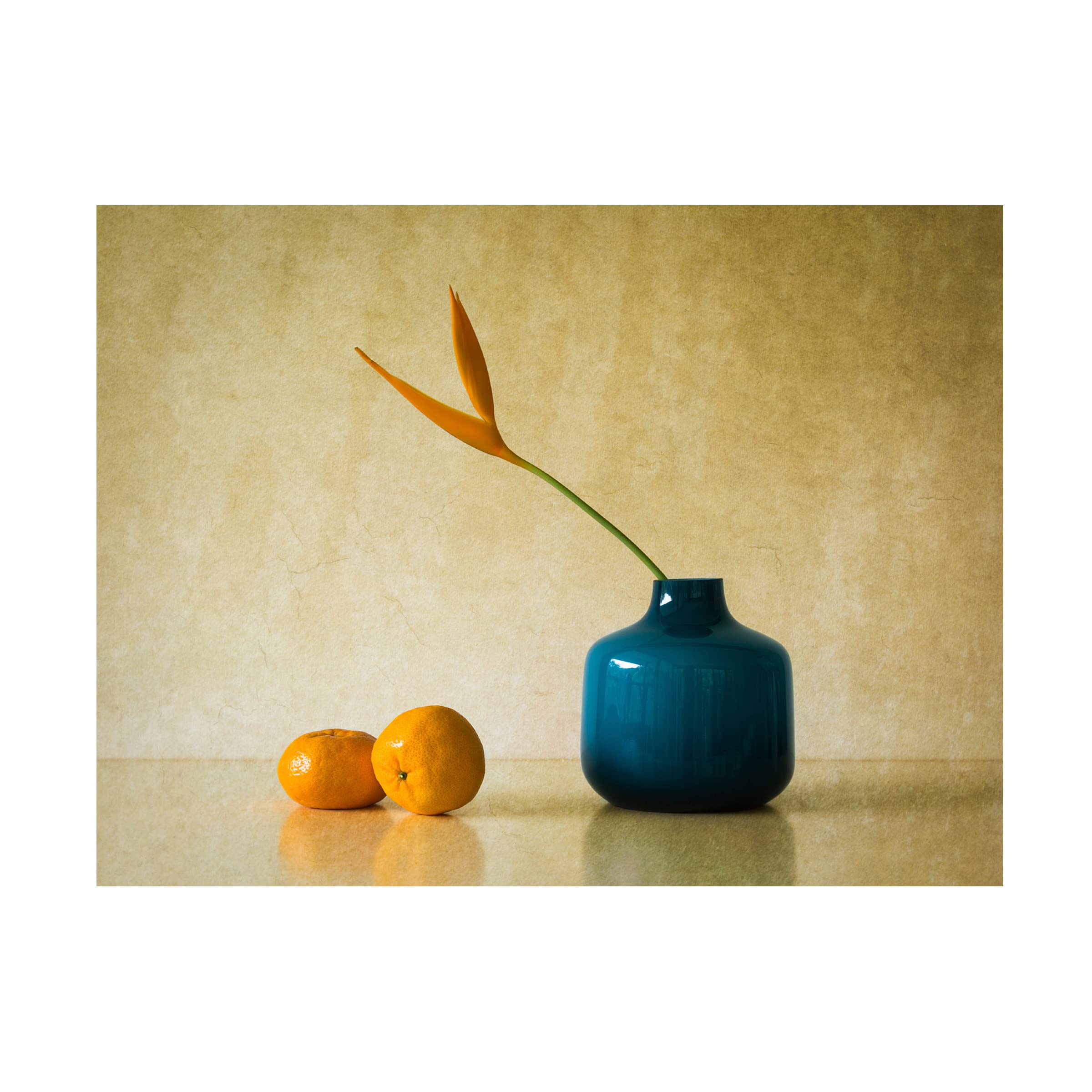 Jacqueline Hammer 'Heliconia And Mandarins' Canvas Wall Art Print - Tropical Floral & Fruit Painting for Living Room, Bedroom, or Office Decor