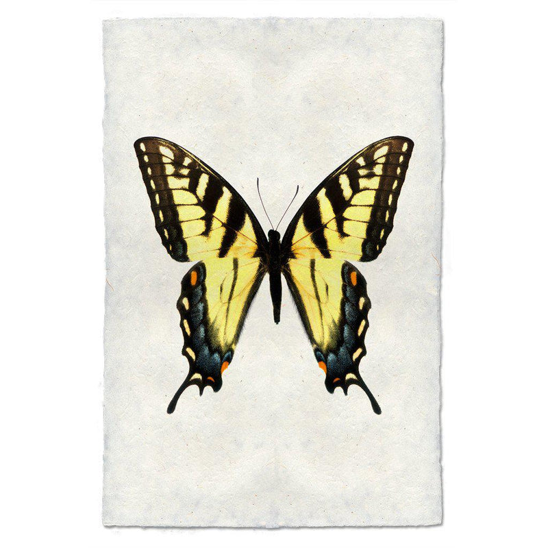 Butterfly #3 Wall Art Print - Elegant Home Decor for Living Room, Bedroom & Office - Perfect for Nature Lovers & Interior Design