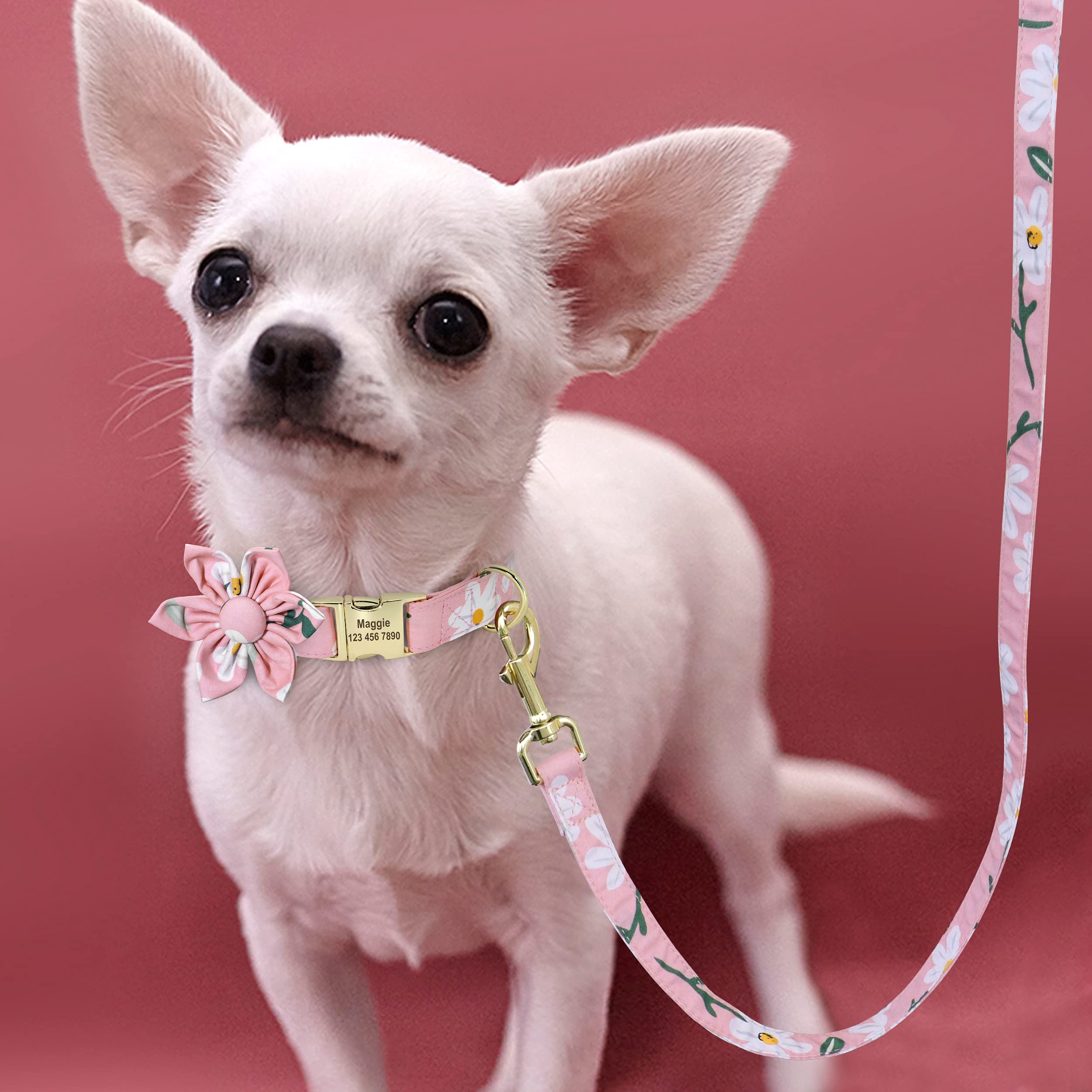 Beirui Custom Floral Dog Collar and Leash Set for Small Female Dogs - Personalized Gold Buckle Engraved Pet Collar with Daisy Pattern (XS) - Perfect for Weddings, Photo Shoots & Special Occasions