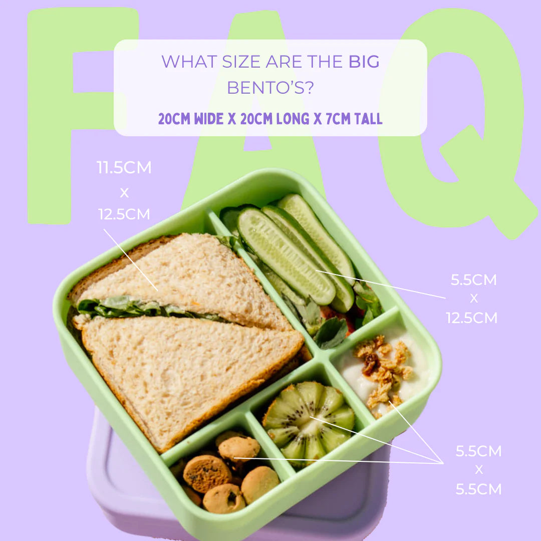 Eco-Friendly BIG Silicone Lunch Box by The Zero Waste People - Perfect for Meal Prep, School Lunches & On-the-Go Snacks | BPA-Free, Reusable Food Container