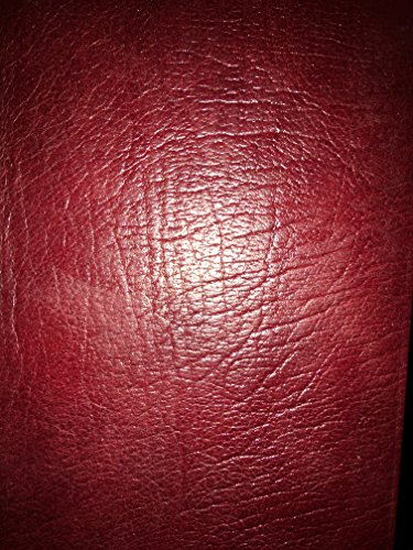 The Living Bible Paraphrased - Easy-to-Read Modern English Bible Translation for Daily Devotion & Bible Study (Home, Church, Small Group Use)