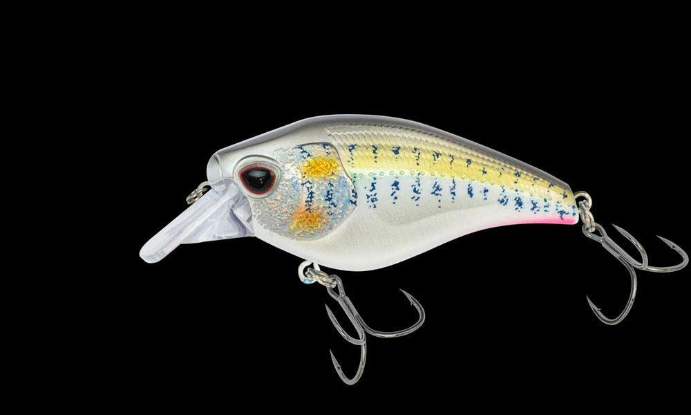 Tennessee Shad