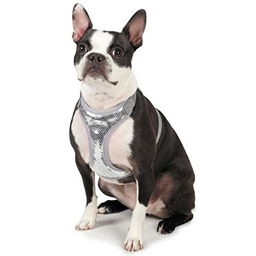 Zack & Zoey ZZ Shimmer Nights Sequin Dog Harness - Sparkling Reflective Pet Vest for Small Medium Dogs - Perfect for Night Walks, Parties & Special Occasions