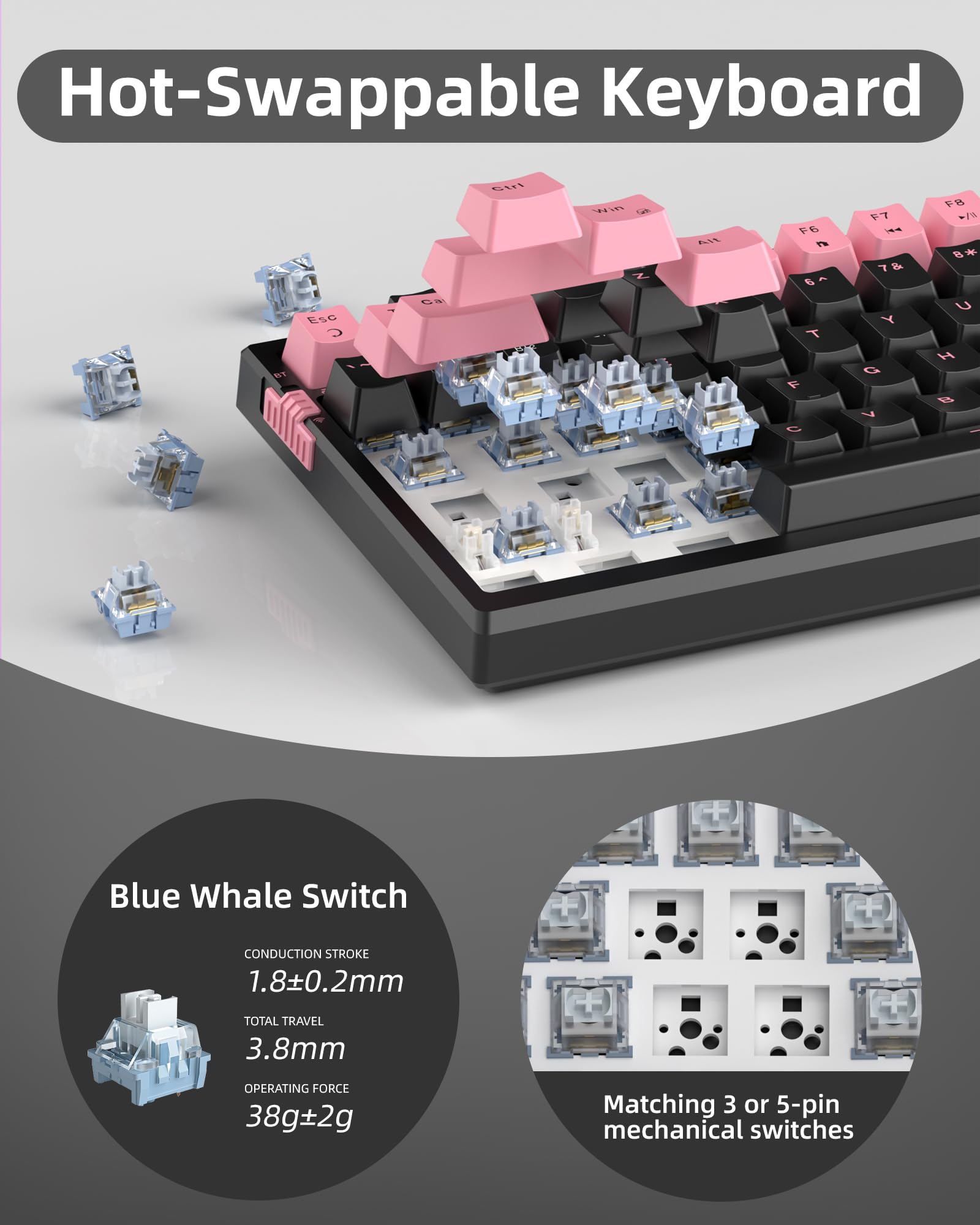 MageGee SKY98 Wireless Mechanical Gaming Keyboard - 96% Hot Swappable RGB Backlit, 5-Layer Sound Padding, Bluetooth/2.4G/USB-C Connectivity, NKRO for Windows & Mac (Pink & Black, Blue Whale Switch) - Perfect for Gaming, Office Work & Typing Enthusiasts