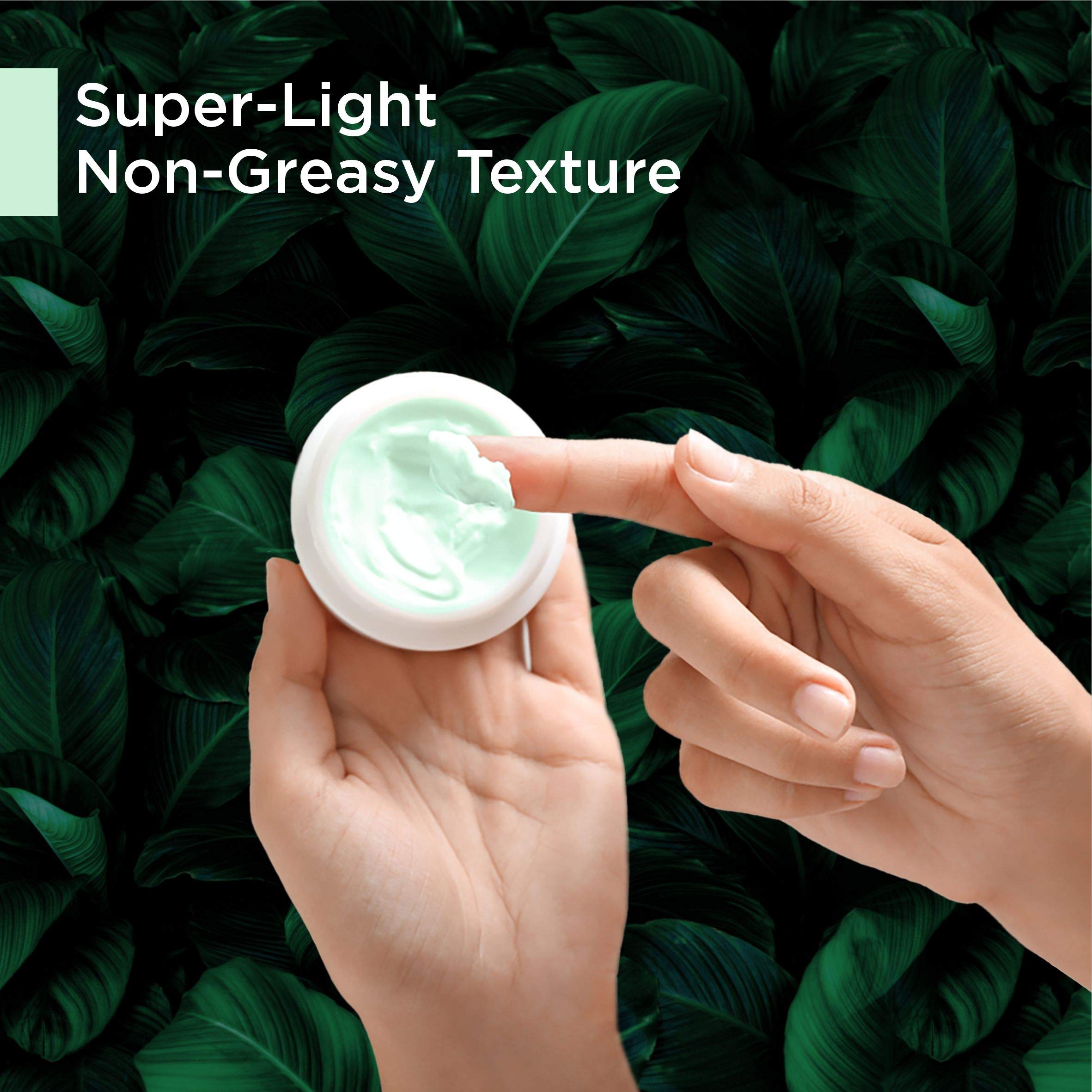 Chariot New York Tea Tree Face Gel Cream 50gm - Oil-Free Hydrating Moisturizer for Acne-Prone Skin | Perfect for Daily Skincare Routine & Blemish Control