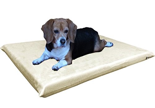 Microsuede Khaki
