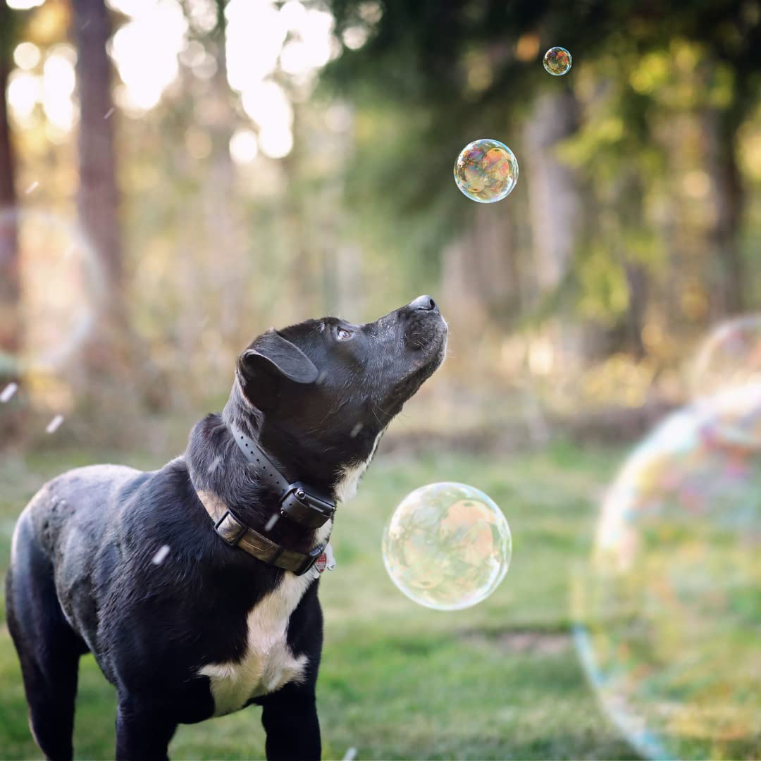 Non-Toxic Vegan Dog Bubbles 3-Pack - Bacon, Peanut Butter & Chicken Flavored Interactive Pet Toys for Dogs - Fun Blowing Bubbles Game for Outdoor Play, Training & Birthday Gifts