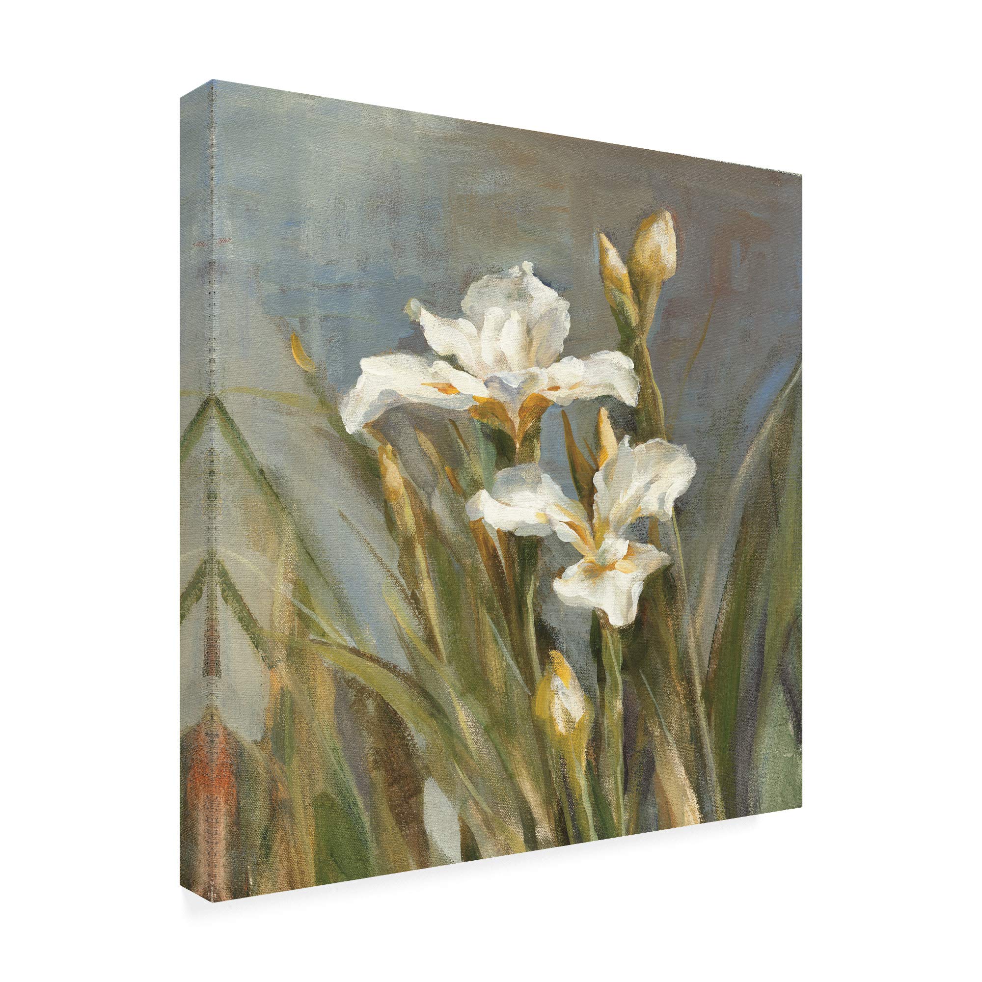 Danhui NAI Spring Iris II Fine Art Print - 18x18 Inch Floral Wall Decor for Living Room, Bedroom & Office