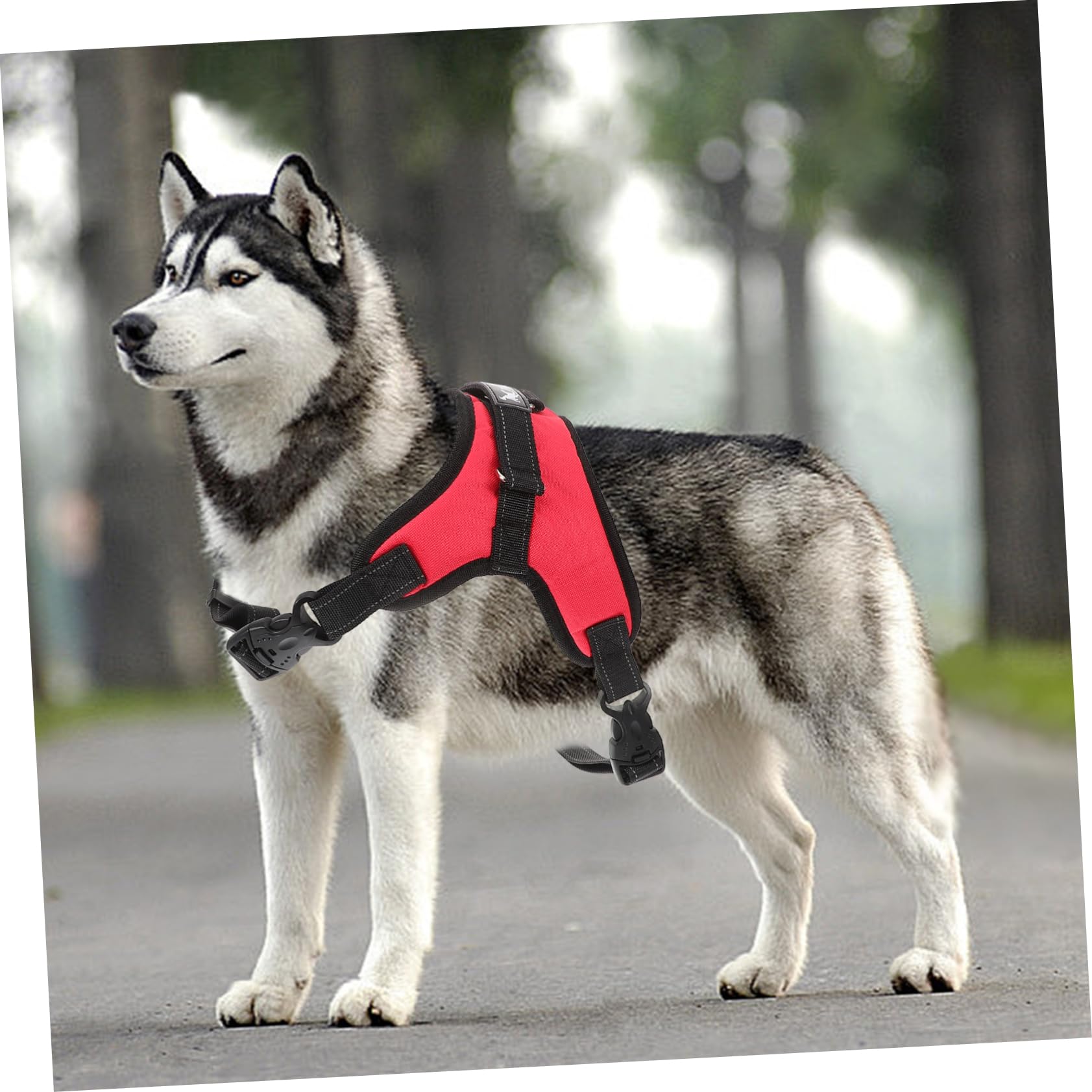 TEHAUX Adjustable Dog Harness for Small Medium Large Dogs - Breathable Oxford Cloth Pet Vest with Leash - Perfect for Summer Walking, Hiking & Outdoor Adventures