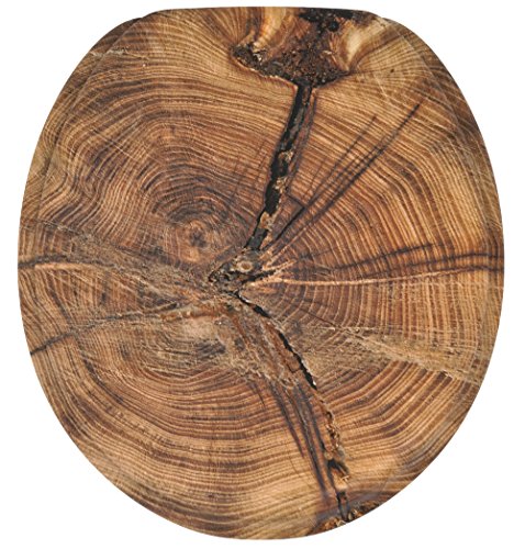Old Tree
