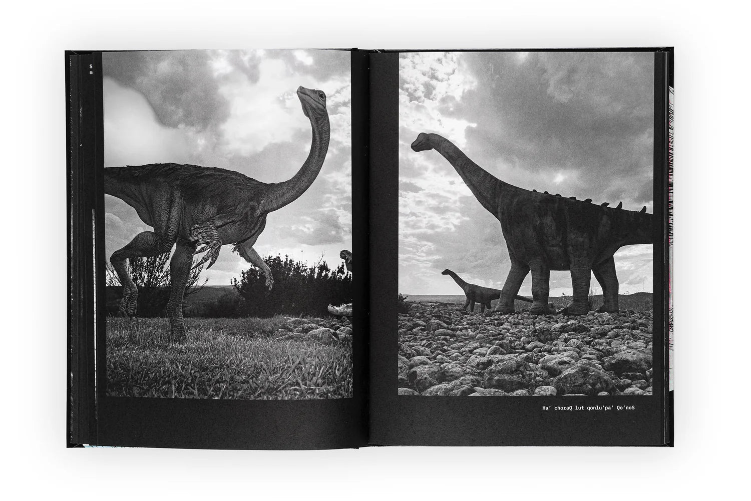 Dinosaur Skeleton Replica - High-Quality Dinosaur Fossil Model for Home Decor, Museum Display, and Educational Use | Perfect for Paleontology Enthusiasts and Classroom Learning