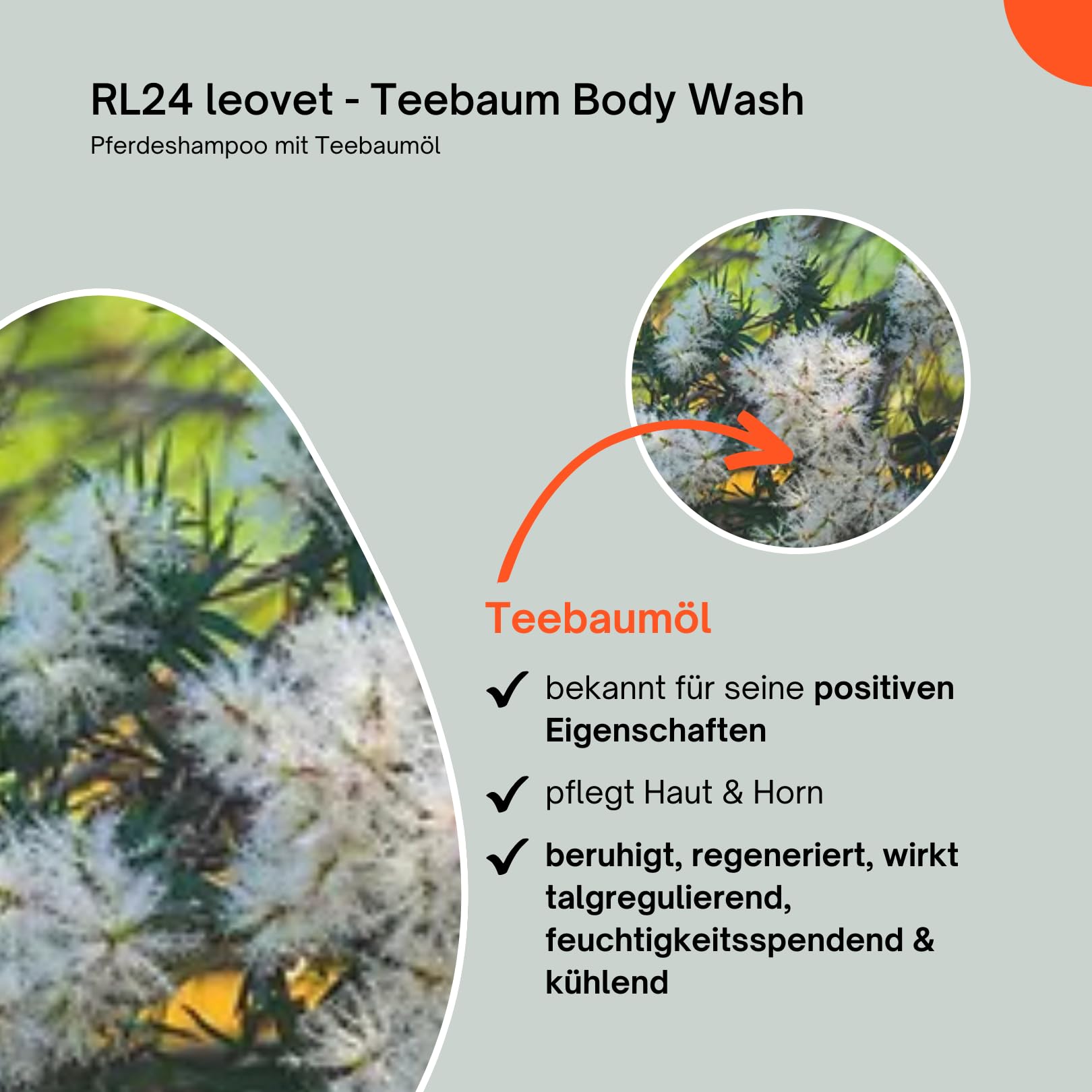 RL24 Leovet Tea Tree Body Wash for Horses - Soothes Itching & Skin Irritation - Natural Horse Shampoo with Tea Tree Oil - Nourishes Skin & Coat - 2 x 500ml Bottles (2-Pack) - Ideal for Grooming, Show Prep & Daily Horse Care