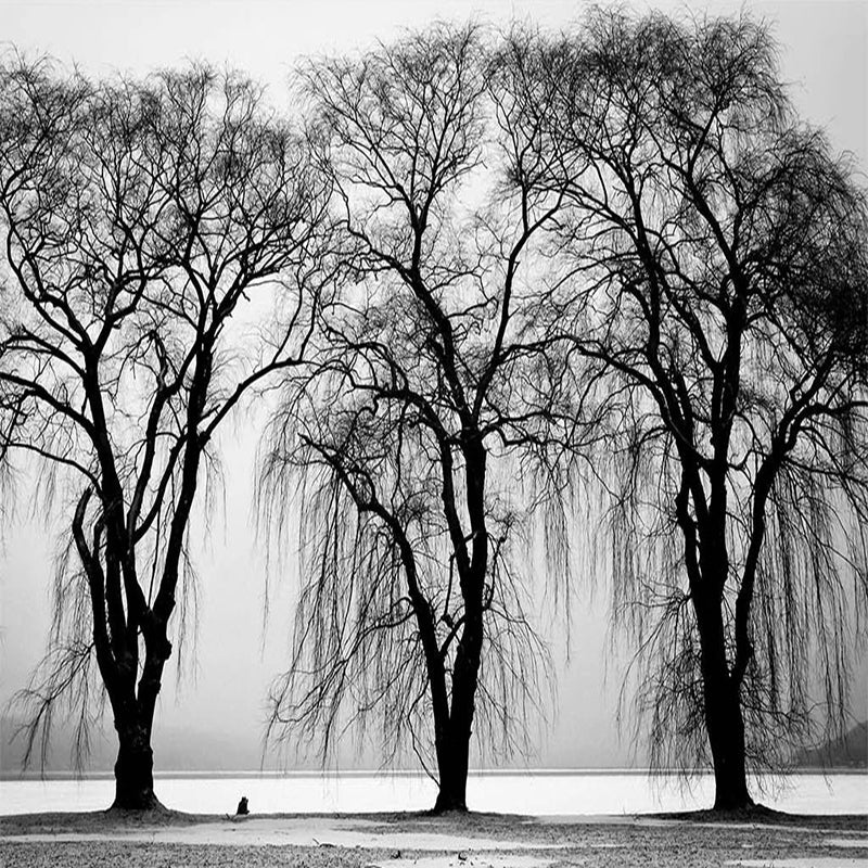 Premium Black Tree Wallpaper - Self-Adhesive Peel & Stick Wall Mural for Living Room, Bedroom, Office Decor - Easy to Install & Remove - Perfect for Home, Apartment, Dorm Room Makeover