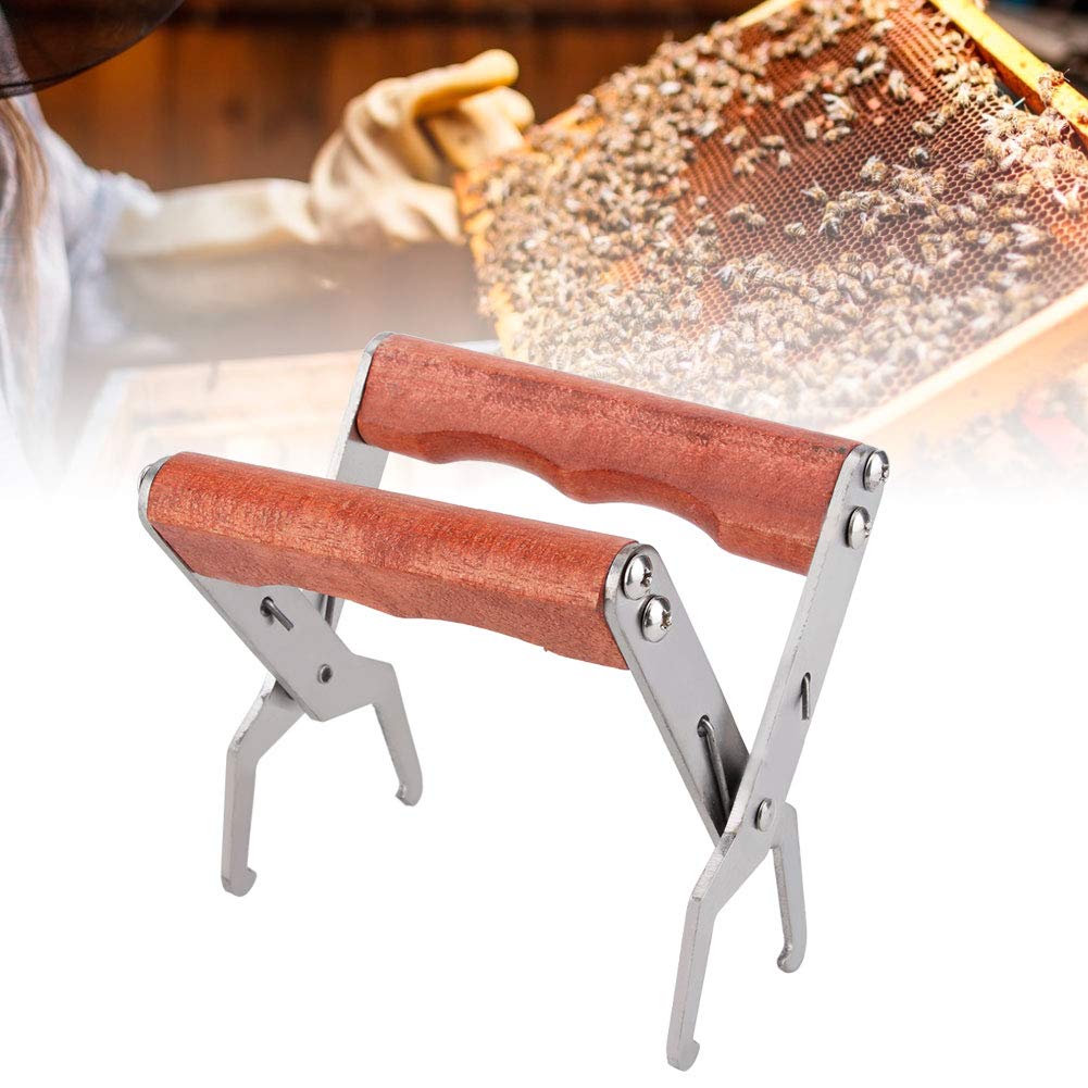 Stainless Steel Beehive Clip - Bee Frame Holder & Lifter Tool for Beekeepers | Durable Apiculture Equipment for Hive Maintenance & Honey Harvesting | Perfect for Beekeeping, Frame Inspection & Colony Management