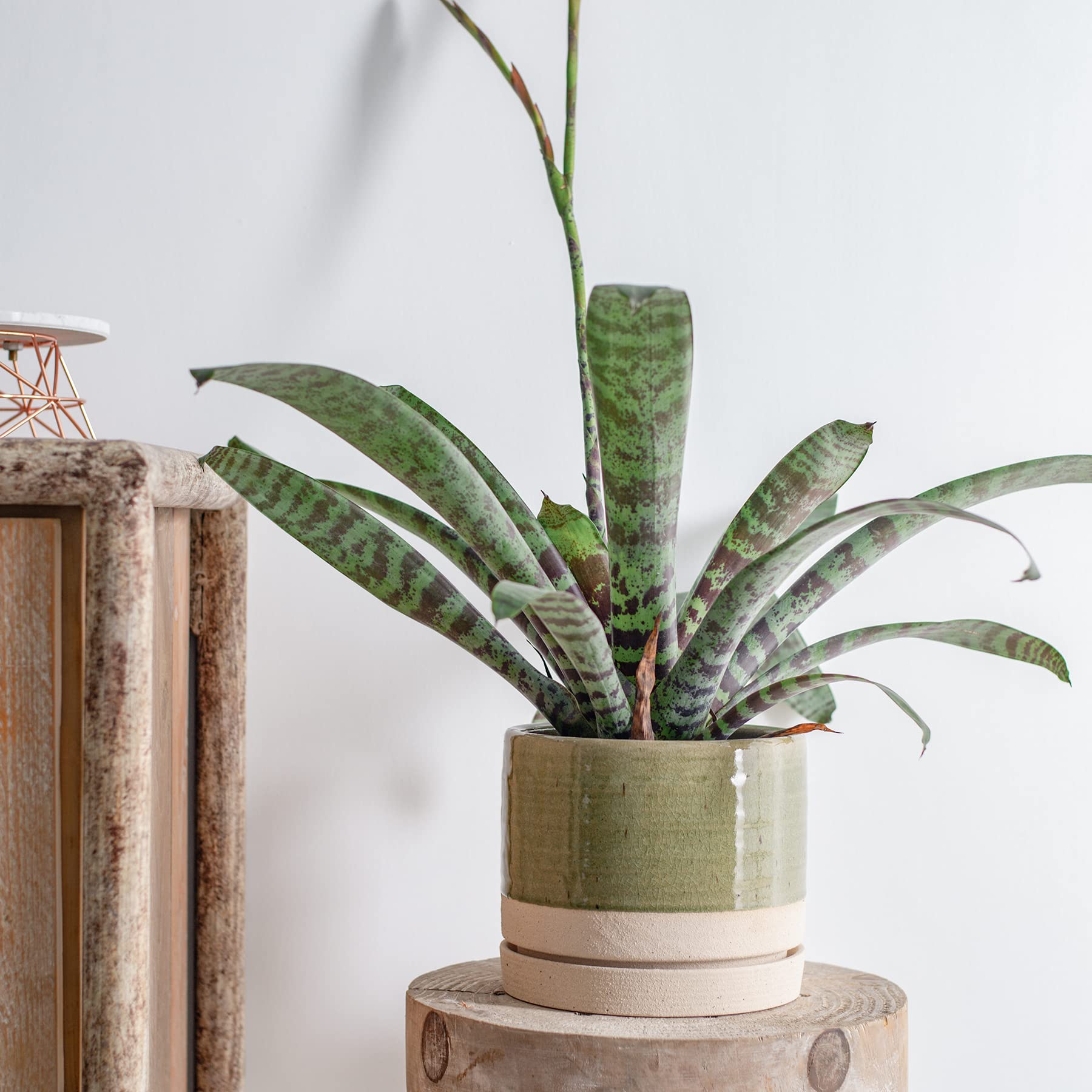 6 Inch Ceramic Plant Pots with Drainage Hole & Saucer - Indoor/Outdoor Cylinder Round Planter for Succulents, Herbs, Flowers (Green & Beige) - Perfect for Home Decor, Office, Garden & Balcony