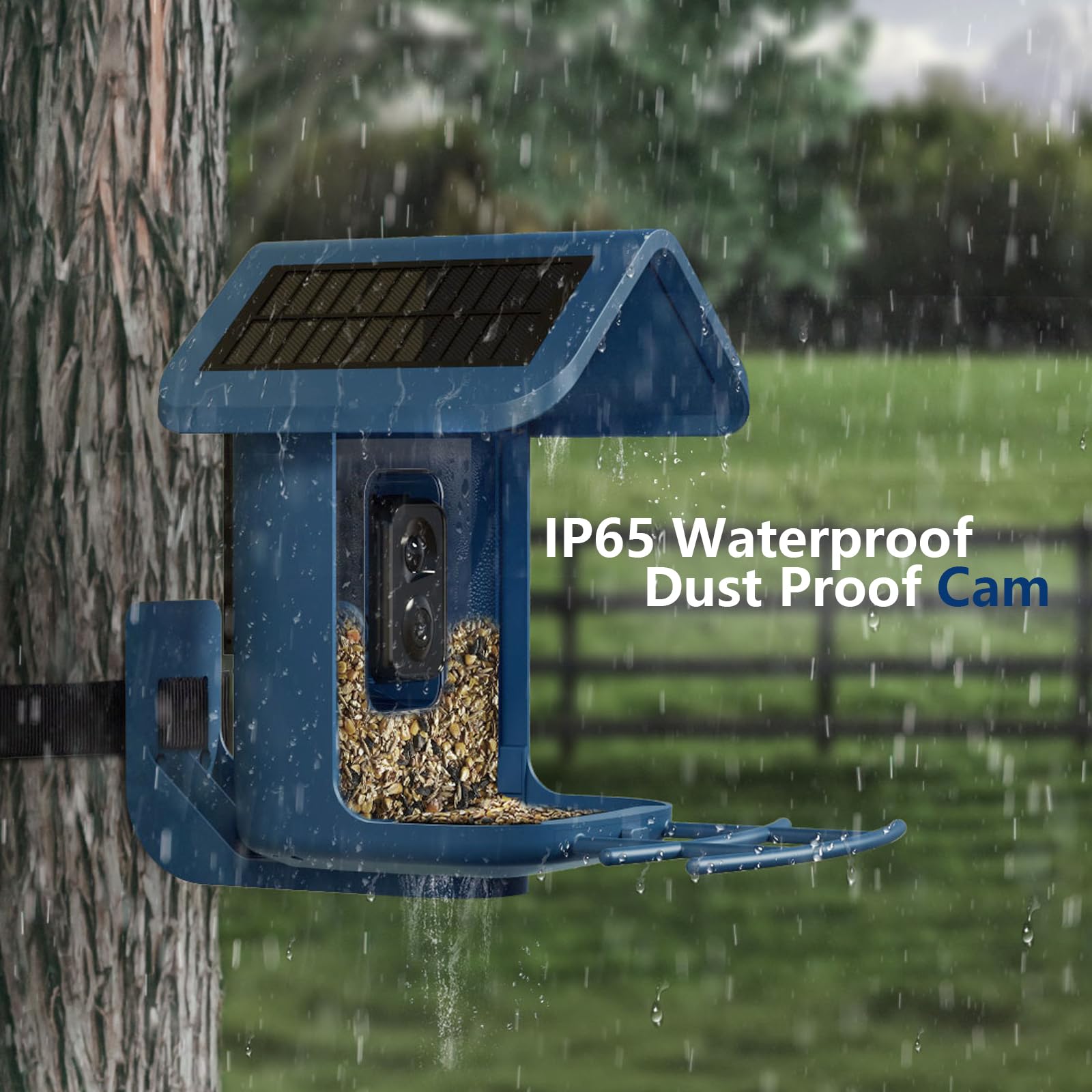 Solar Powered Smart Bird Feeder with 2K Camera - AI Bird Identification, Auto Video Capture, 2.4GHz WiFi, Live Streaming - Perfect Outdoor Backyard Gift for Bird Lovers (Great for Bird Watching & Nature Observation)