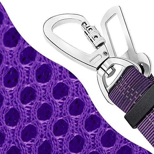 B2- Purple (Double Clip 2 in 1)
