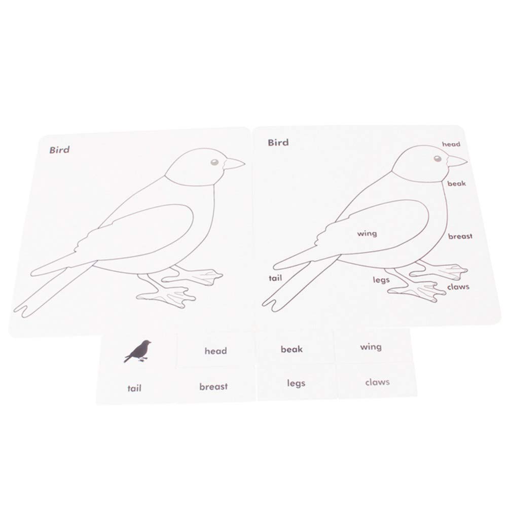 Montessori Botany Puzzles for Kids - Science Learning Toys with Animal & Plant Cards, PVC Wood Box - Educational English Games for Children | Perfect for Homeschooling & Classroom STEM Activities